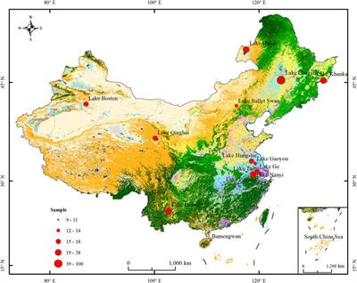 Retrieve of total suspended matter in typical lakes in China based on broad bandwidth satellite data: Random forest model with Forel-Ule Index
